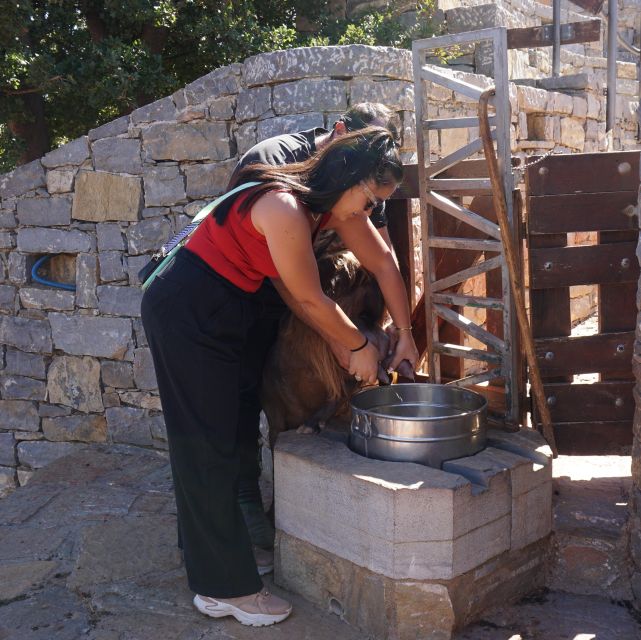 Crete: Shepherd'S Life & Psiloritis Mountain Tour With Meal - Included Activities