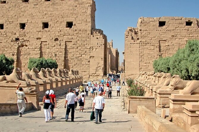 Customized Private Day Excursion of Luxor East Bank - Traveler Reviews