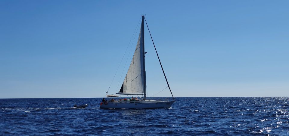 Day Sail Tour From Ibiza to Formentera - Recommendations and Restrictions