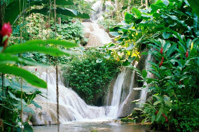 Day Trip to Bob Marleys Nine Mile and Dunns River Falls From Falmouth - Savoring Jamaican Jerk Lunch