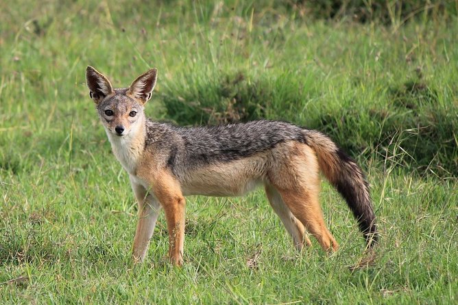 Day Trip to Ol Pejeta Conservancy From Nairobi - Booking and Cancellation Policies