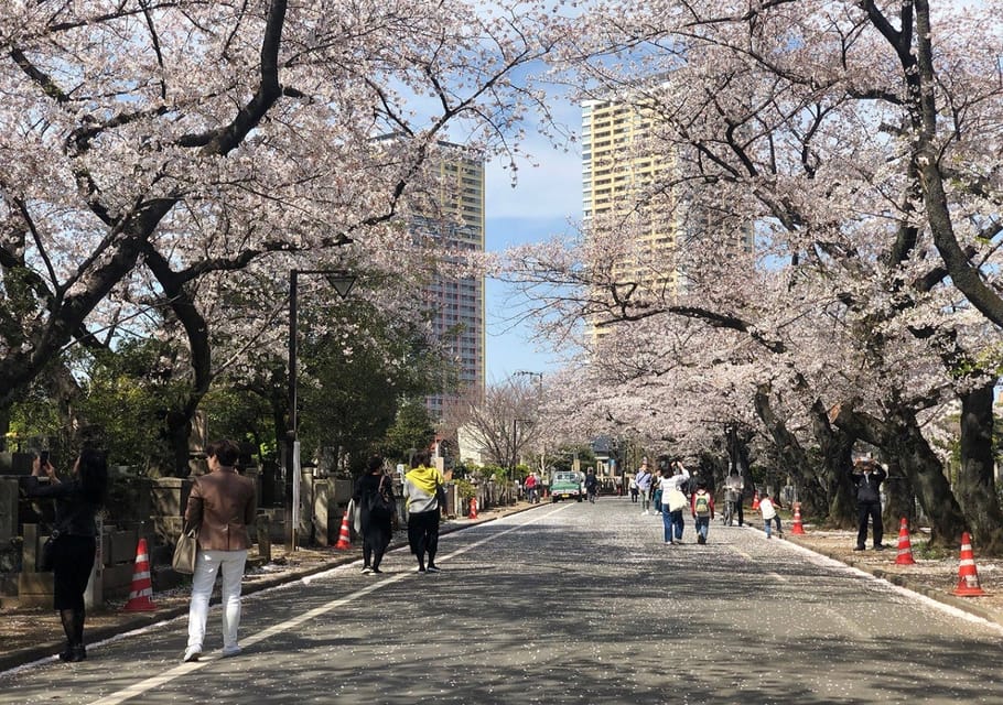 Daytime Hanami (Cherry Blossom Time) With a Local - Yanakas Historic Neighborhoods