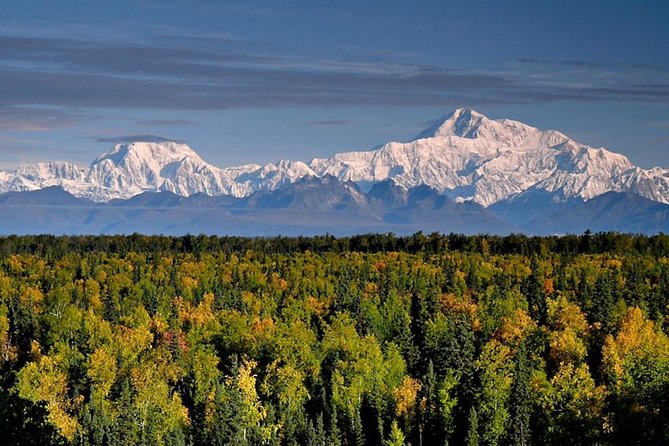 Denali Zipline Tour in Talkeetna, AK - Memorable Ziplining Adventure