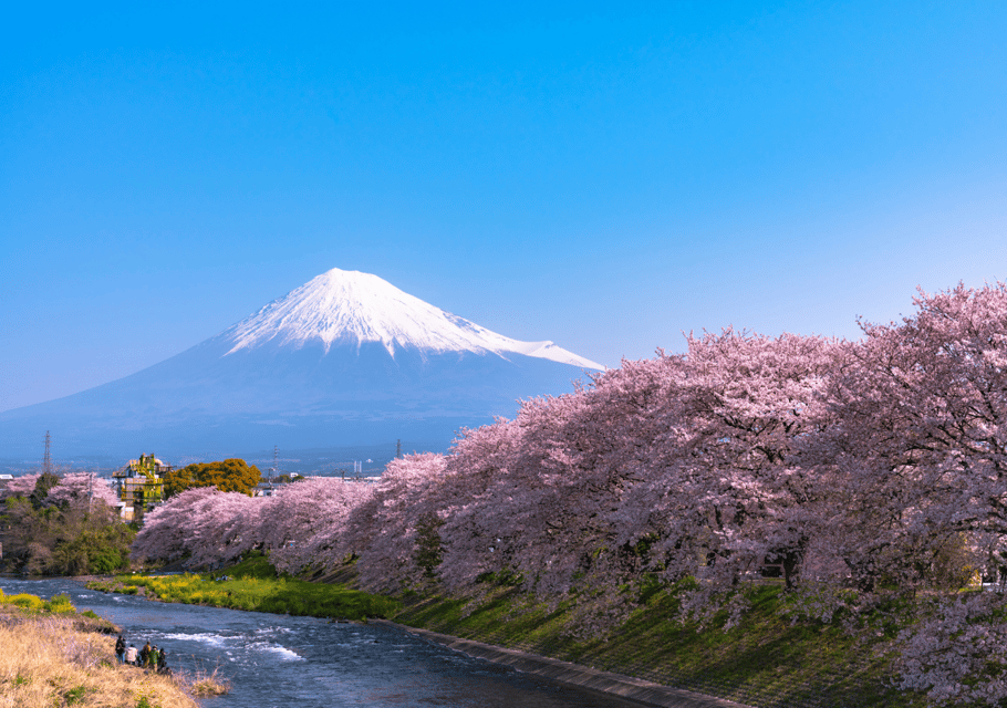 Discover Mount Fuji: Private Car/Van Day Tour From Tokyo - Frequently Asked Questions