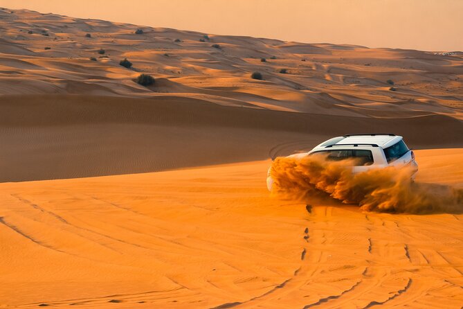 Doha: Quadbike, Dune Bashing, Camel Ride, Inland Sea Visit - Camel Ride Experience