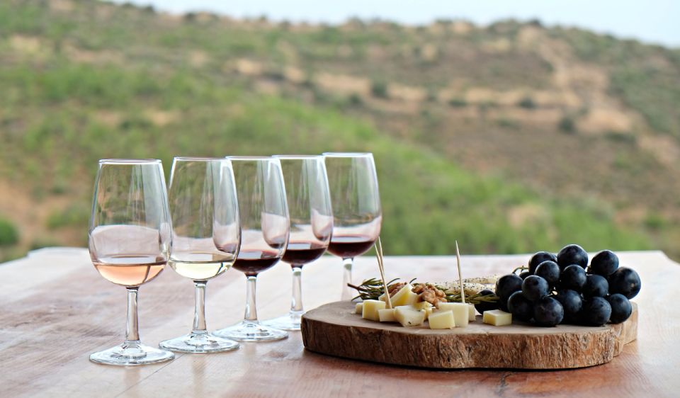 Douro Valley Private Tour With 2 Wine Tastings - Tailored Tour Experience