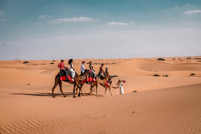 Dubai Desert Safari: Camel Ride, Sandboarding, BBQ & House Drinks - Additional Details to Note