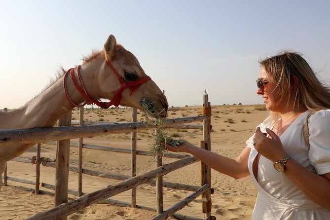 Dubai Evening Heritage Safari by Vintage G Class Al Marmoom Oasis - Tour Logistics and Considerations