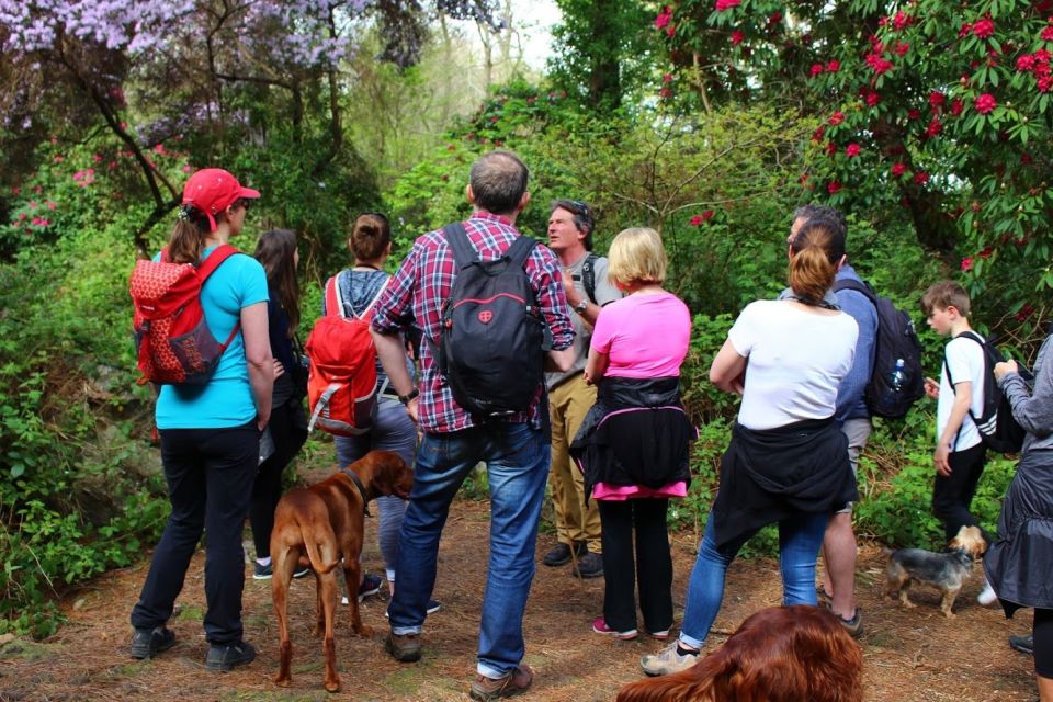 Dublin: Dublin Coastal Hiking Tour With Howth Adventures - Guide Expertise and Service