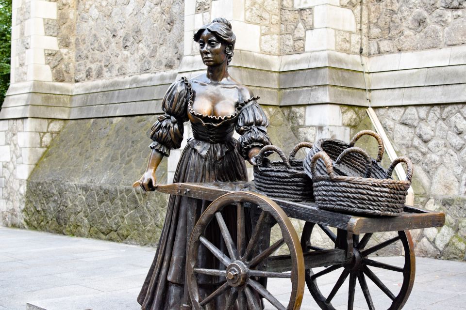 Dublin: Historic Guided Walking Tour & Dublin Castle Ticket - Booking Details