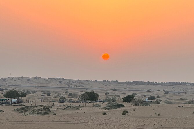 Evening Desert Safari - Tour Type