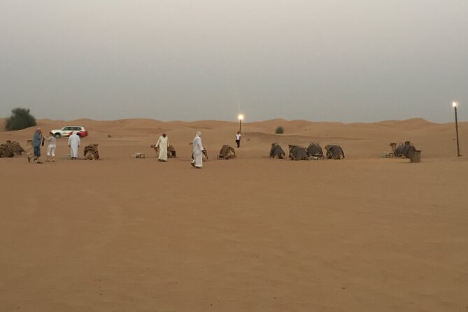 Evening Desert Safari Tour With Live Enterterment And BBQ Dinner - Important Travel Details