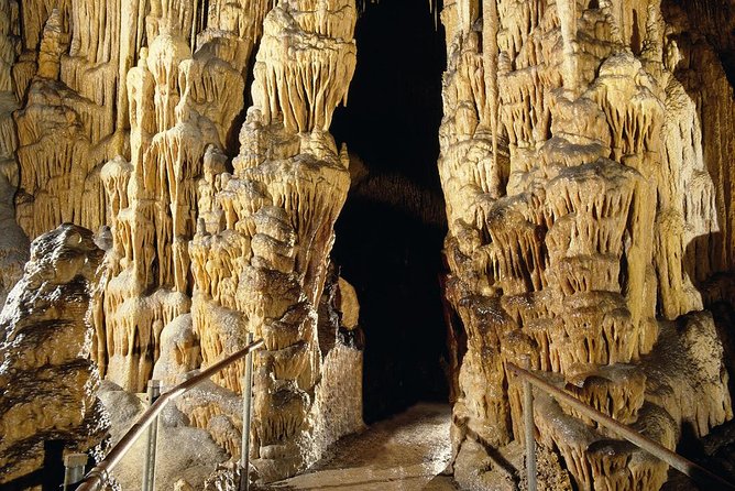 Explore Mallorca: Majorica Pearl Shop and Caves of Drach - Logistical Details and Additional Information