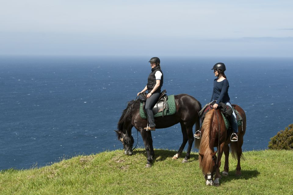 Faial Island: Horseback Riding on Lusitano Trail - Transportation and Meals