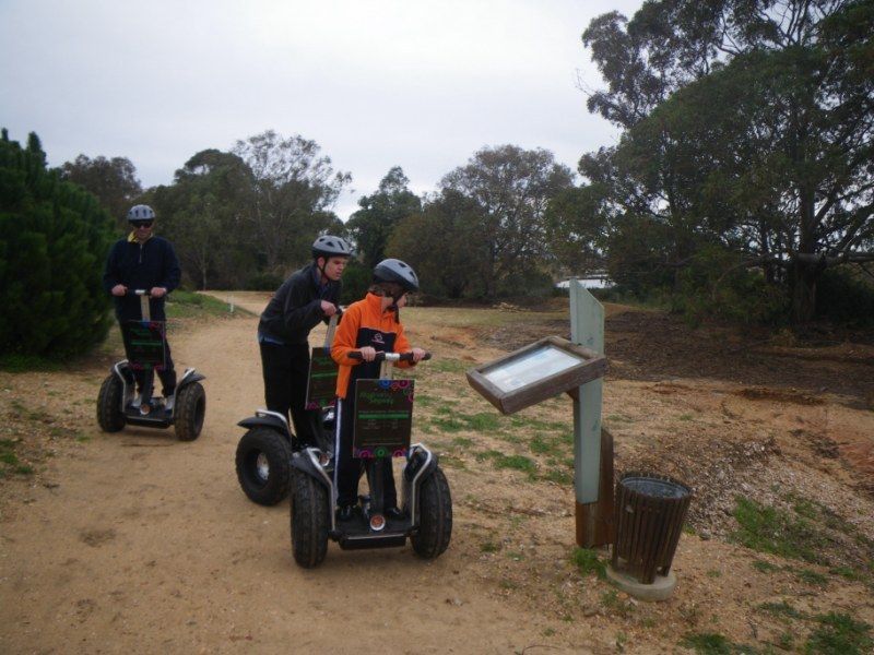 Faro: Ria Formosa Natural Park Segway Tour & Birdwatching - Language Options