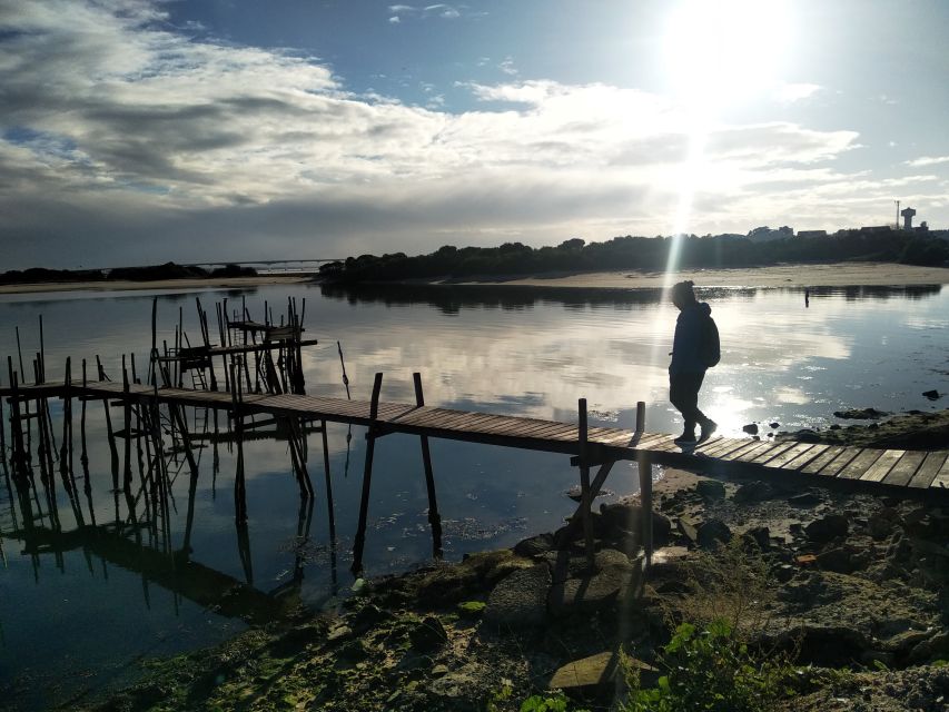 From Aveiro: Barra Beach Lighthouse & Costa Nova Guided Tour - Lagoons Formation