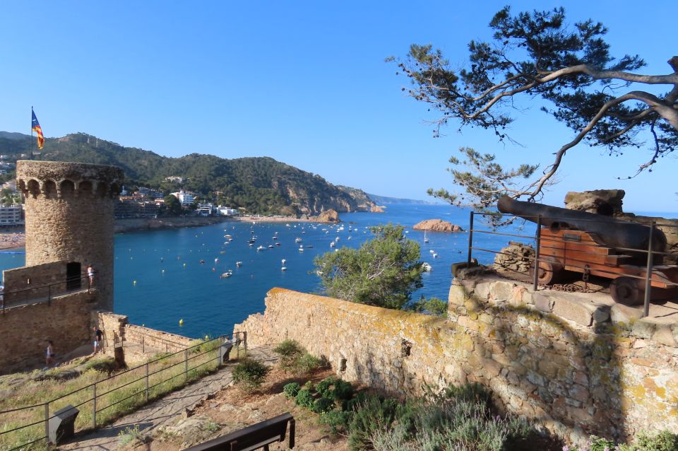 From Barcelona: Tossa De Mar Scuba Diving and 3-Course Meal - Dive Specifics