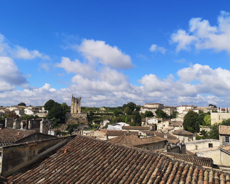 From Bordeaux: Saint-Émilion Half-Day Trip With Wine Tasting - Group Size and Languages