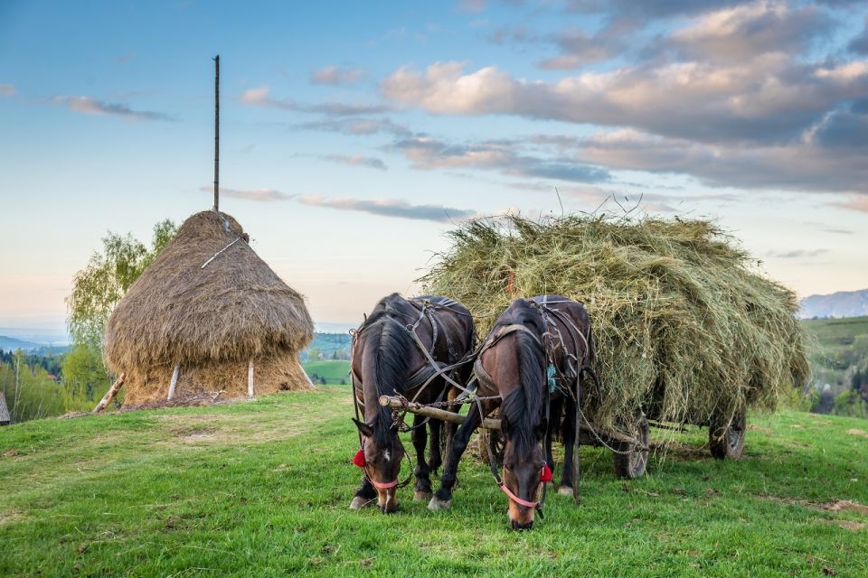 From Bucharest: 3-Day Bucovina & Transylvania Tour - Customer Feedback and Ratings