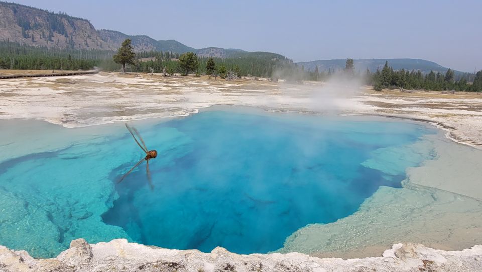 From Cody: Full-Day Yellowstone National Park Tour - Yellowstone National Park Overview