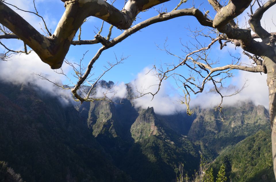 From Funchal: East Tour Madeira 4x4 Jeep Tour Santana Houses - Laurissilva Forest and Sao Lourenco