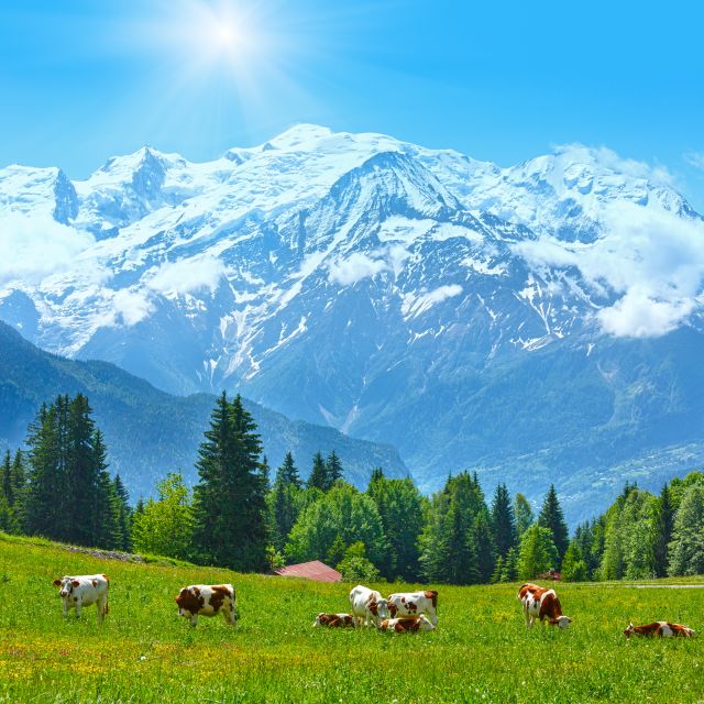 From Geneva: Chamonix Mont-Blanc Private Day Trip - Stunning Glacier Landscapes