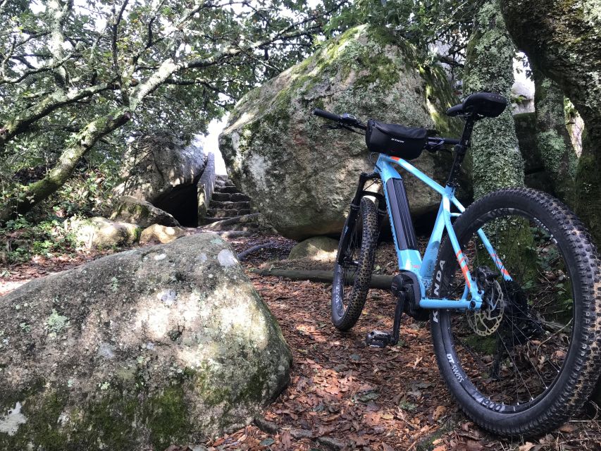 From Lisbon: Sintra Bike Tour With Lunch and 2 Attractions - Picnic Lunch in Sintra Forest