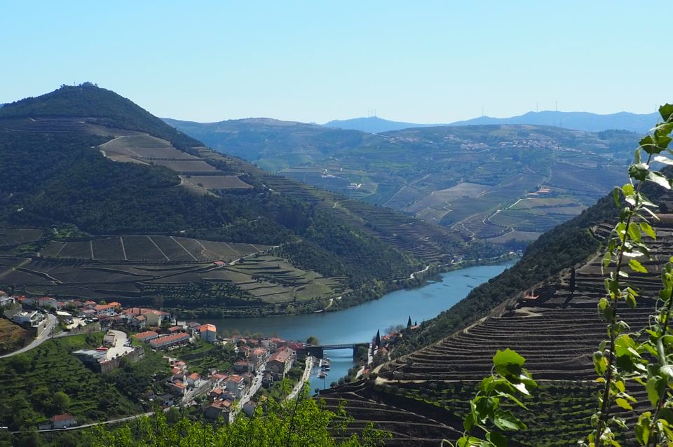 From Porto: Douro Valley Wine Tour With River Cruise & Lunch - Inclusions and Exclusions