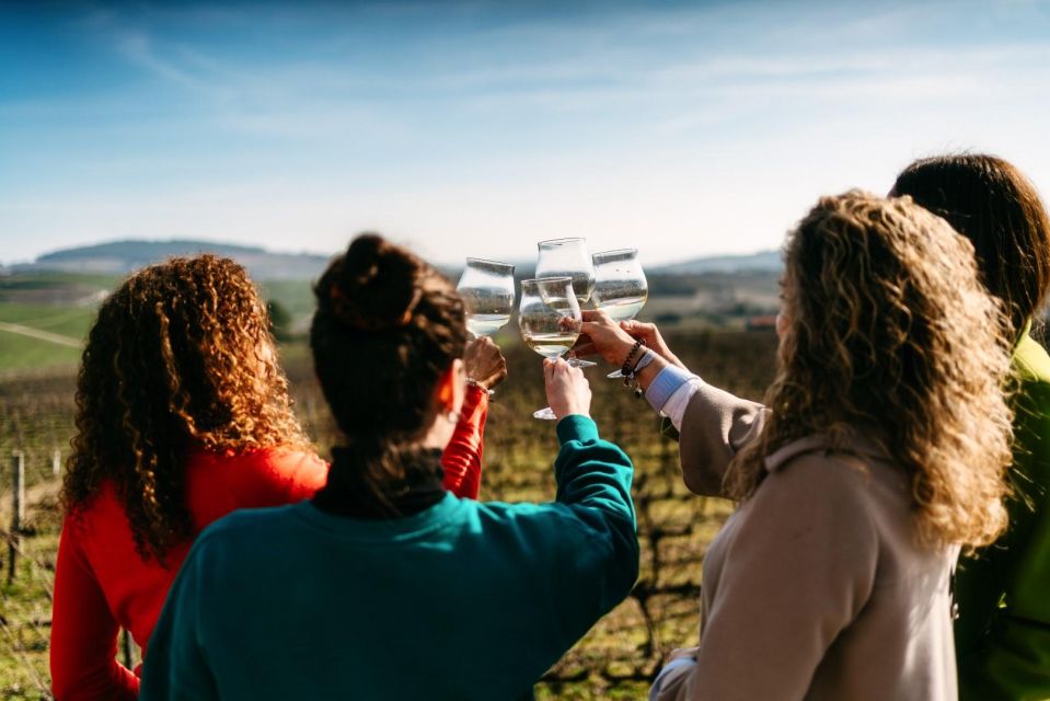 From Porto: Private Tour Douro Valley-Lunch/Wine Tasting/Boat - Douro River Boat Cruise