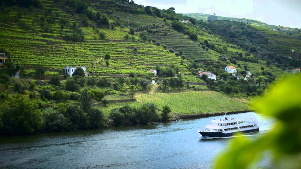 From Porto: Régua to Porto River Cruise With Lunch on Board - Customer Ratings and Feedback