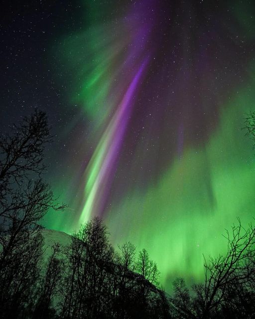 From Rovaniemi: Aurora Dreamscape Tour in the Wild - Science Behind the Lights