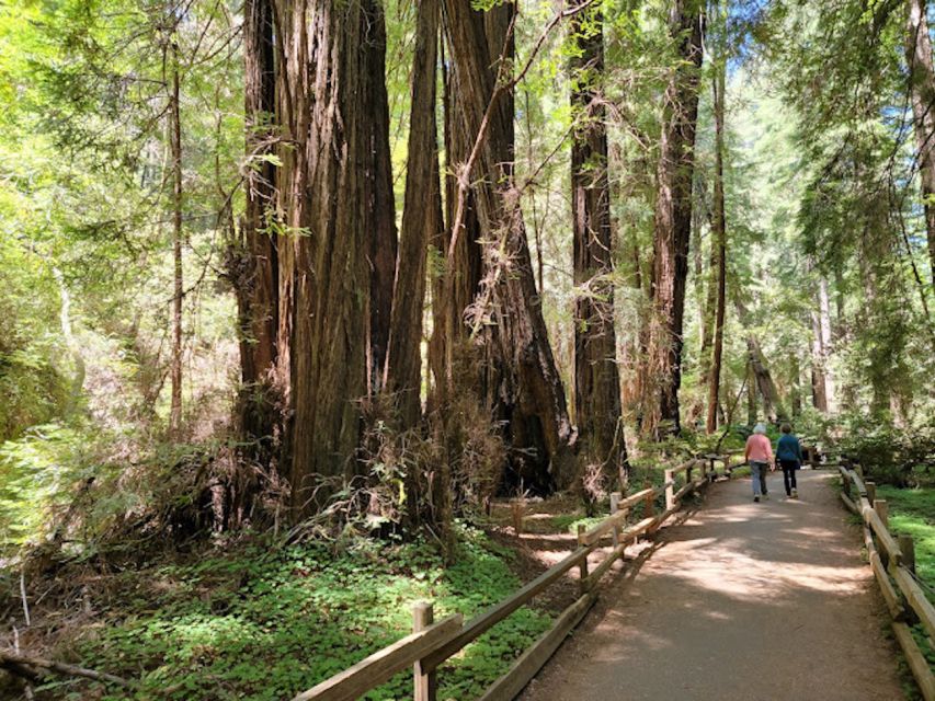 From San Francisco: Private Muir Woods and Napa Wine Tour - Important Tour Considerations