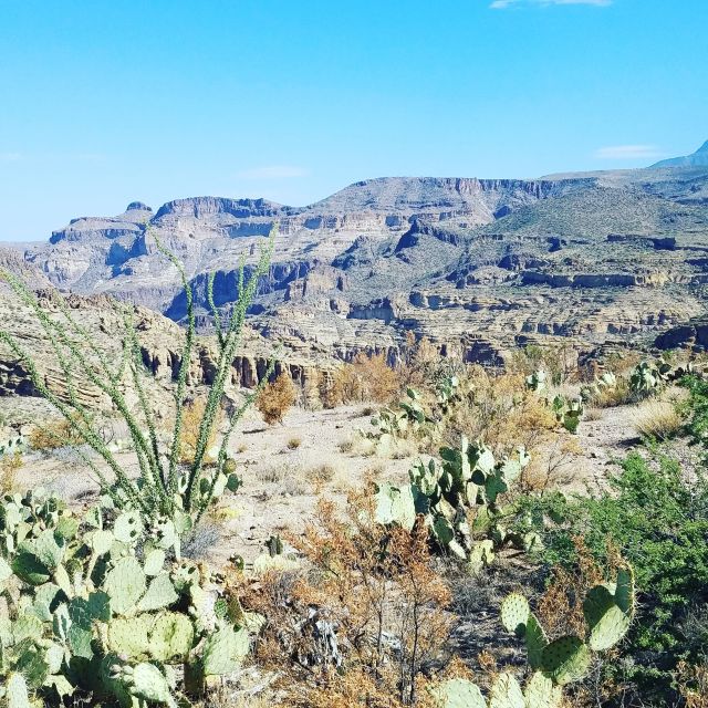 From Scottsdale/Phoenix: Apache Trail Day Tour - Inclusions and Exclusions