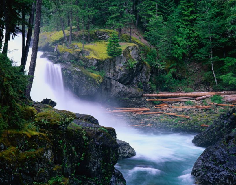 From Seattle: Mount Rainier Full-Day Tour - Alcohol Policy