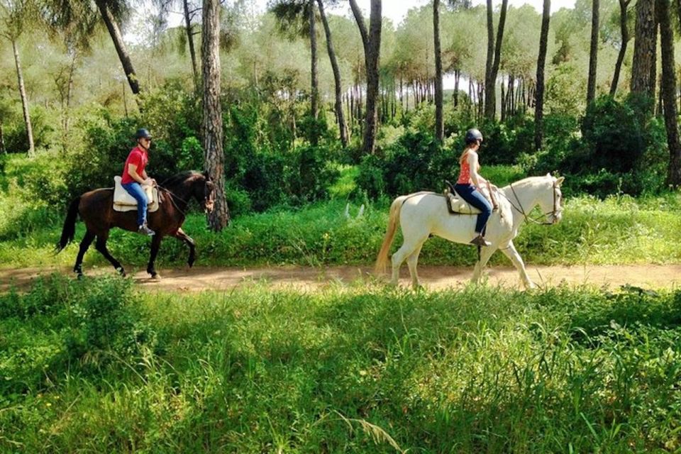 From Seville: Andalusian Horseback Ride - Transportation Options