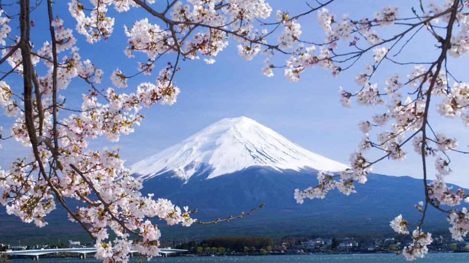 From Tokyo: Mount Fuji & Hakone Trip With English Driver - Guided Tour Options