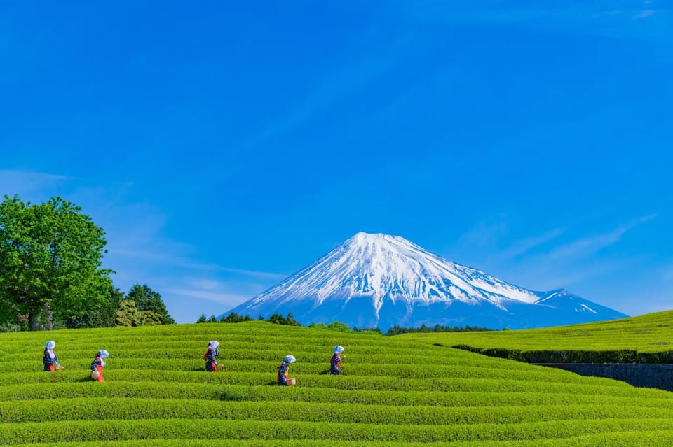 From Tokyo: Mount Fuji Highlight Photo Spots Full-Day Tour - Cultural Landmarks