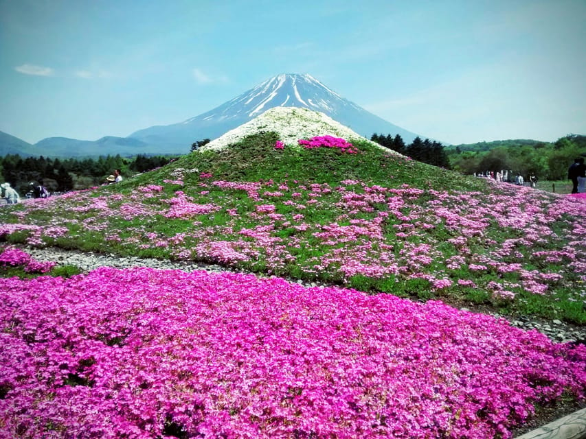 From Tokyo: Mount Fuji Instagram Spots 1-Day Private Tour - Getting to Mount Fuji