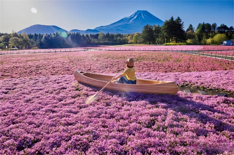 From Tokyo: Mt Fuji Instagram-Worthy Full-Day English Tour - Accessibility and Age Restrictions