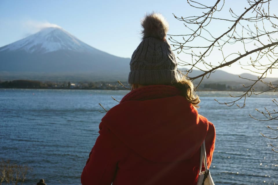 From Tokyo: Mt. Fuji or Hakone Sightseeing Private Day Tour - Hakone Open-Air Museum