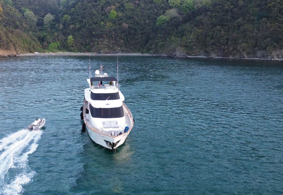 From Torba: Bodrum Coast Private Yacht Tour With Swim Stops - Inclusions and Requirements