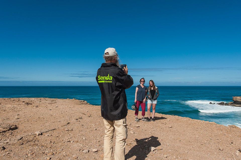 Fuerteventura: La Pared 3-Hour Segway Tour - Things To Known