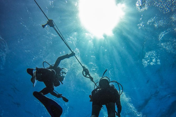 Full-Day Catalina Island Scuba Diving Tour From La Romana - Reviews and Feedback