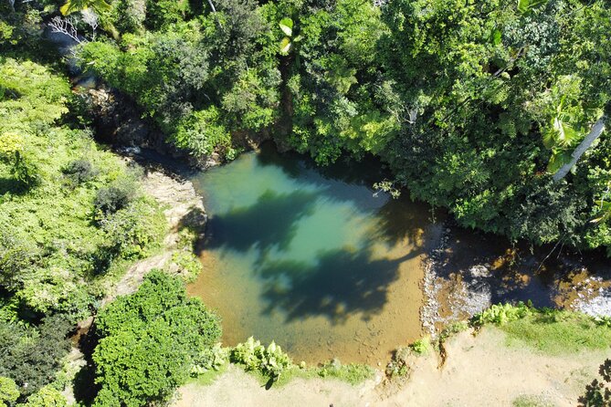 Full-Day Tour of Guavate and Charco Azul in Puerto Rico - Combination of Food and Nature