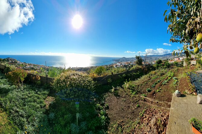 Genuine Madeira Food Experience at Re-Canto - Preparation of the 3-Course Meal