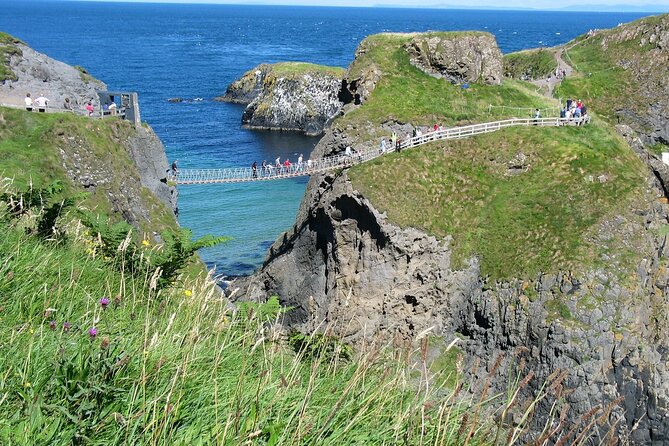 Giants Causeway and Belfast City Murals Tour Inc Game of Thrones Dark Hedges - Discovering the Dark Hedges