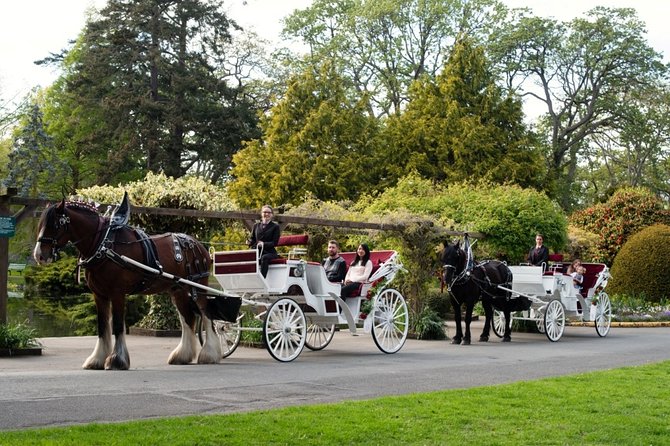 Grand Horse-Drawn Carriage Tour of Victoria - Guest Reviews and Ratings