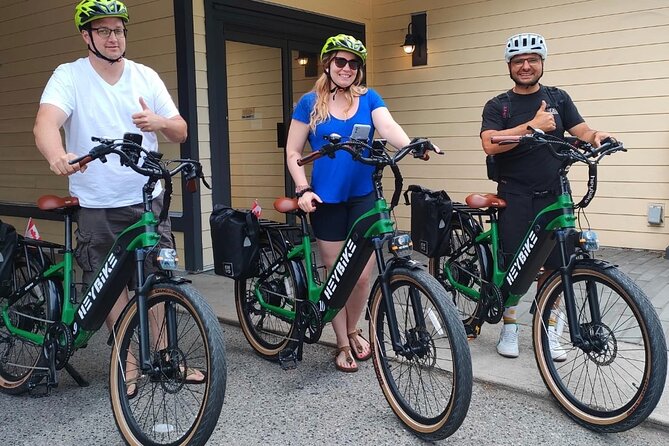 Guided E-Bike Wine Tour With Tastings and Lunch - Bistro Lunch