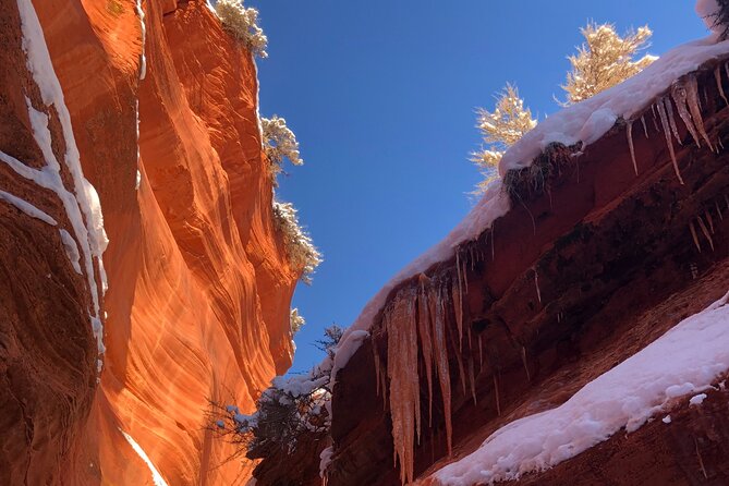 Guided Hike Through Peek-A-Boo Slot Canyon (Small Group) - Customer Testimonials