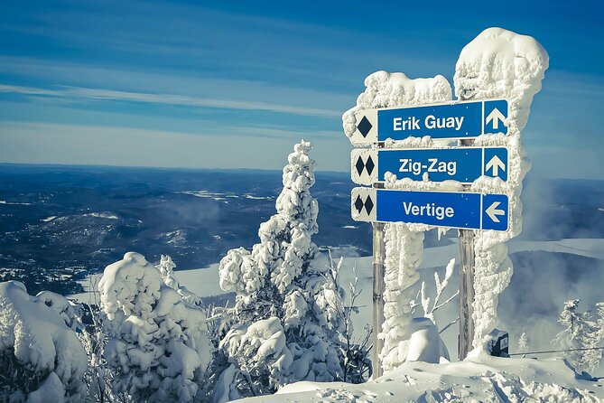 Guided Skiing or Snowboarding in Quebec Enchanted Forests - Private Transportation and Mountain Access